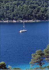 Bareboat, Crewed, Yacht, Charter,  Cruise