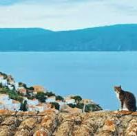 FAQ - FREQUENTLY ASKED QUESTIONS for yacht charters in Greece