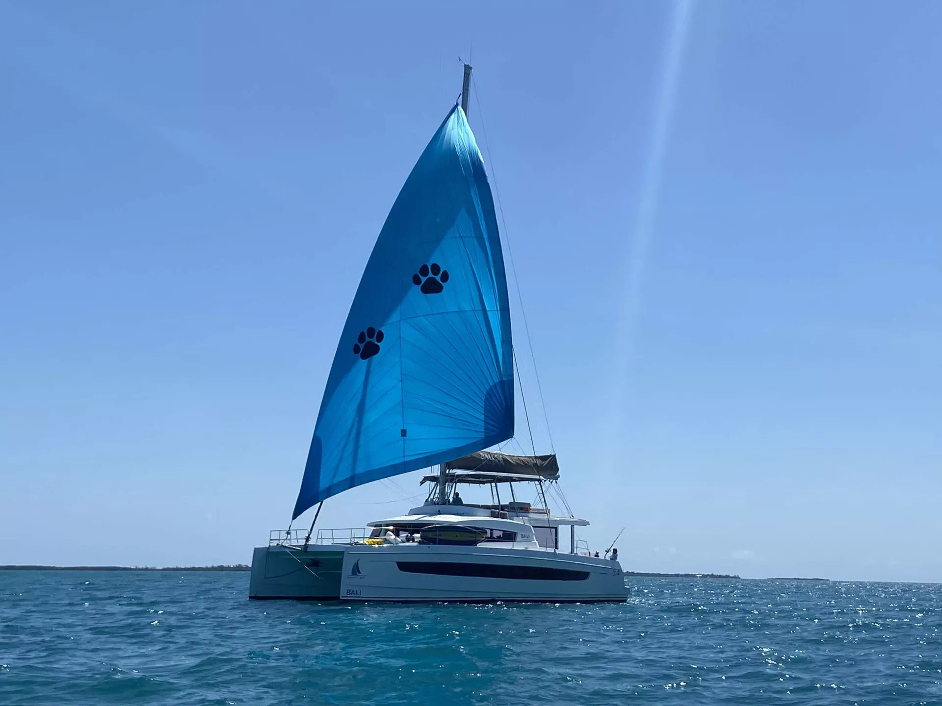 NAUTI DOGS 5.4 CY