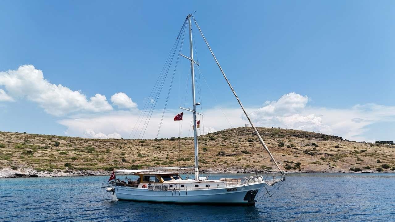 ZORBAS CY